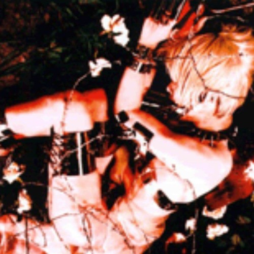 Blam Honey — Fly To Flier