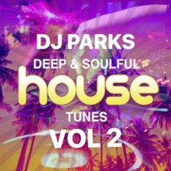 Deep and Soulful House VOL2
