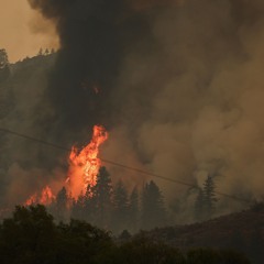 Sault - Wildfires (House Remix)