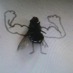 Kris-E   -   Minimal Is Muss 29.01.2011