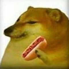 The Hotdog Song