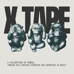 ✖ Tape | 03 | Landfall