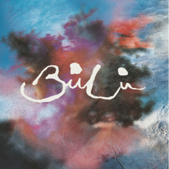 PREMIERE: BùLù - Silicon-Shepherd (E-Talking Remix) [Nummer Music]