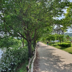 바람이 불어오는 곳 (Acoustic guitar cover)