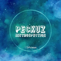 Peckuz - Introspection OUT ON ARTRANCE RECORDS