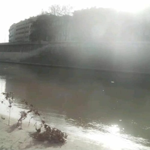 Alone