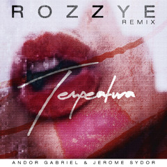 Andor Gabriel & Jerome Sydor - Temperatura ( Rozzye Remix )