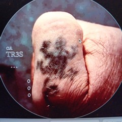 La balade du petit Lagarto