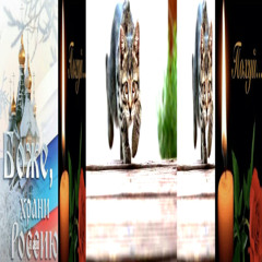 @temaprikolov, fckwood - в результате хим. реакции слюны и насвая произошло воспаление губы