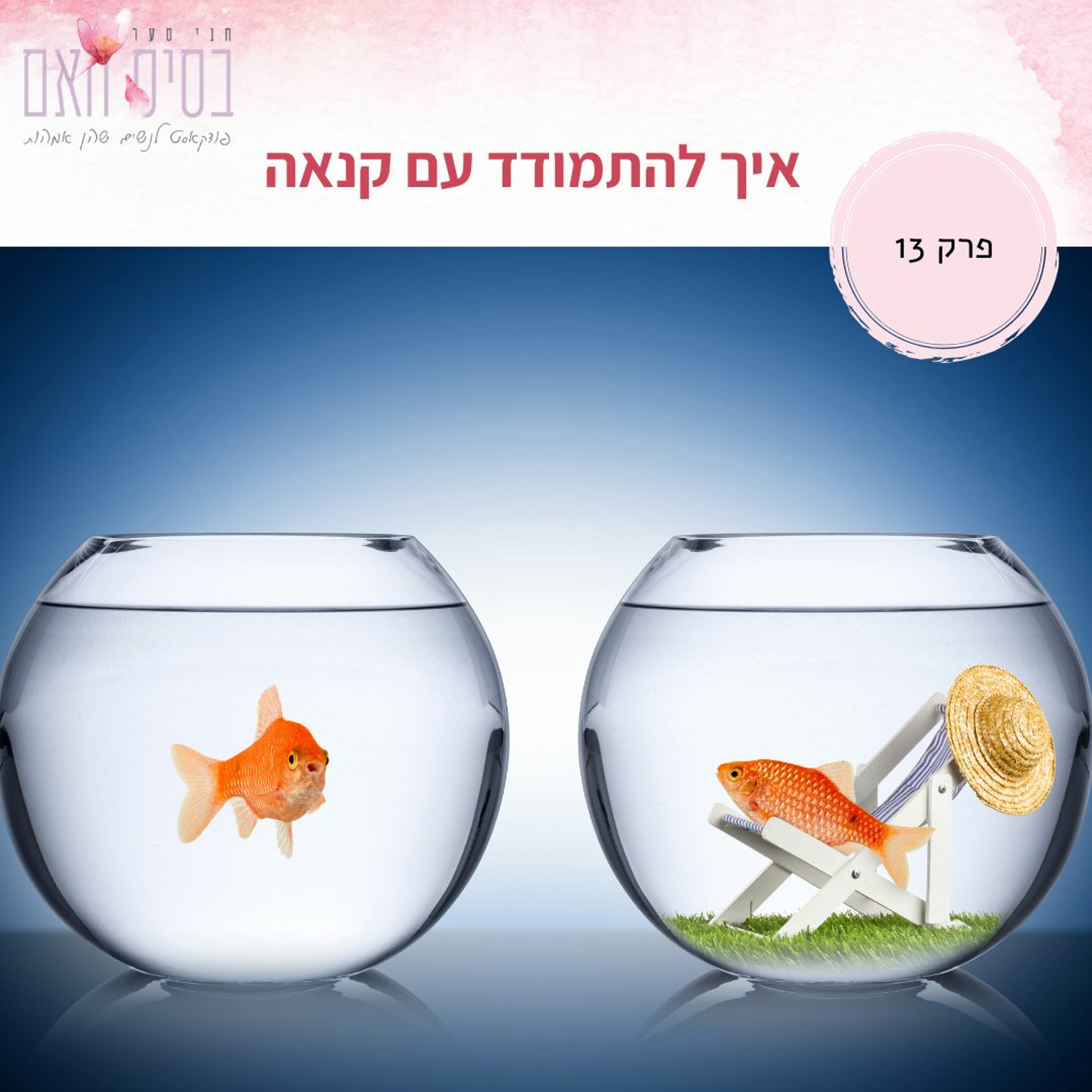 בסיס האם 13- מראה מראה שעל הקיר: איך מתמודדים עם קינאה