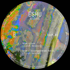 ESHU018 - ARUM - GUUS EP - SNIPPETS