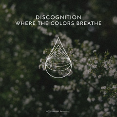 01. Discognition - Where The Colors Breathe (Radio Edit) [Immersed]