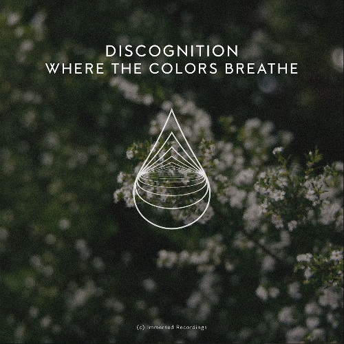 01. Discognition - Where The Colors Breathe (Radio Edit) [Immersed]