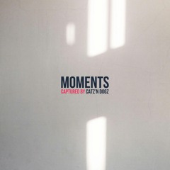 Catz 'N Dogz - 'Moments' Album [Clip Minimix] [Pets Recordings]
