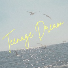 Teenage Dream (cover)