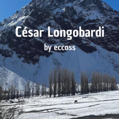 Eccoss_1