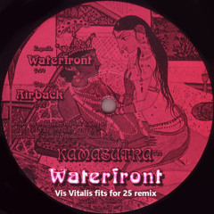 KAMASUTRA - waterfront (Vis fit for 25 remix)