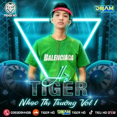 Nonstop Soppe Vinahous - Nhạc Thị Trường Vol1 - TigerRemix