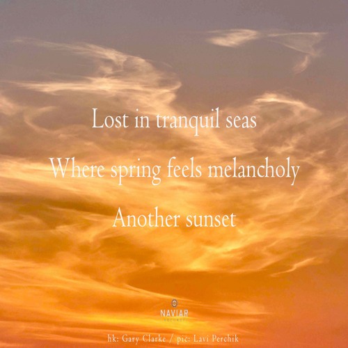 halF melancholY [naviarhaiku486]