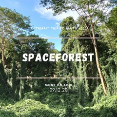 A "trippy" Trip to Pluto #222 - Spaceforest