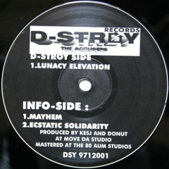 The Accusers - Ecstatic Solidarity