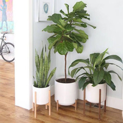 self destructive #0039