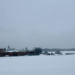 Bernard's Solitary (binaural version optimized for headphones)