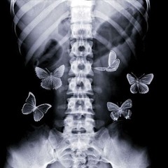 vOmit* [ottoXL & rjpasin]