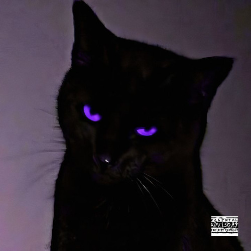 Geekin (prod. Wantima)