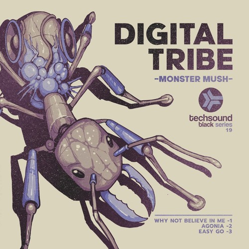 Monster Mush - Why Not Believe In Me (Techsound Records) PREVIEW