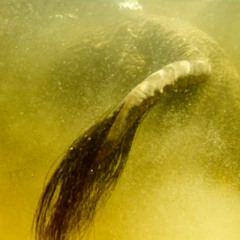 Atlantis 25 w/ aQa - Jazz, Kraut, Psychedelic - Operator Radio 08-12-25