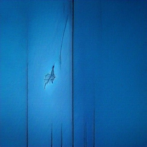 Sample challenge entries