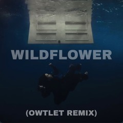 WILDFLOWER (OWTLET Remix) - [FREE DL]