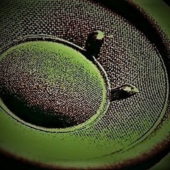 BASSRUBS 13: UNDERWORLDS (Studio Mix)