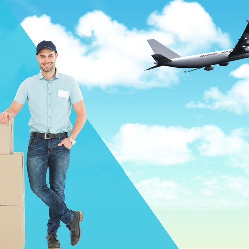 Rapid Delivery Services by Rapid Courier