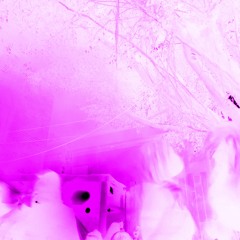 unfucktheworld- angel olsen (koo flip)