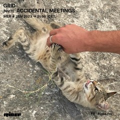 Grid invite Accidental Meetings - 04 Janvier 2023
