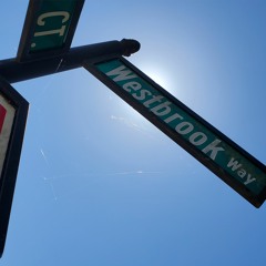 Westbrook Way (basically the hood)