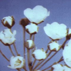 phantas.ma :: out of sight (prod. djsebapogrzebywesela)