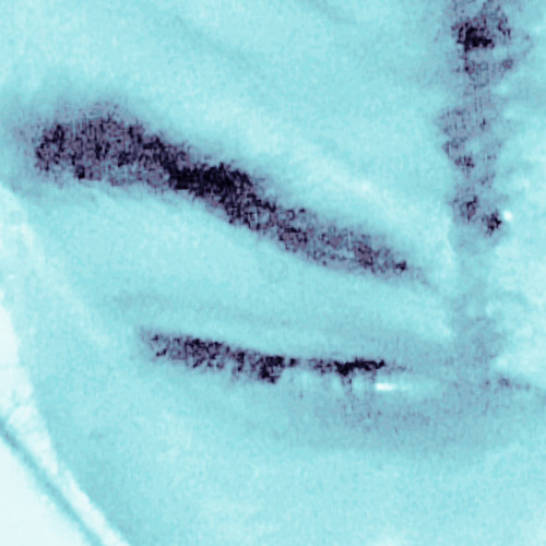 *IF I HAD TO*{+ NEOXLIME}{@aria1k}