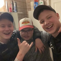 Rostiga mås vingar o fjäderlöst