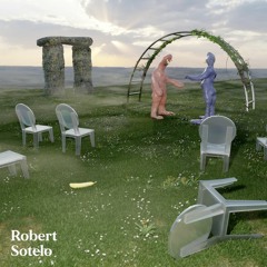 Robert Sotelo - 'Influencer'