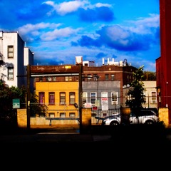 Sunny Afternoon