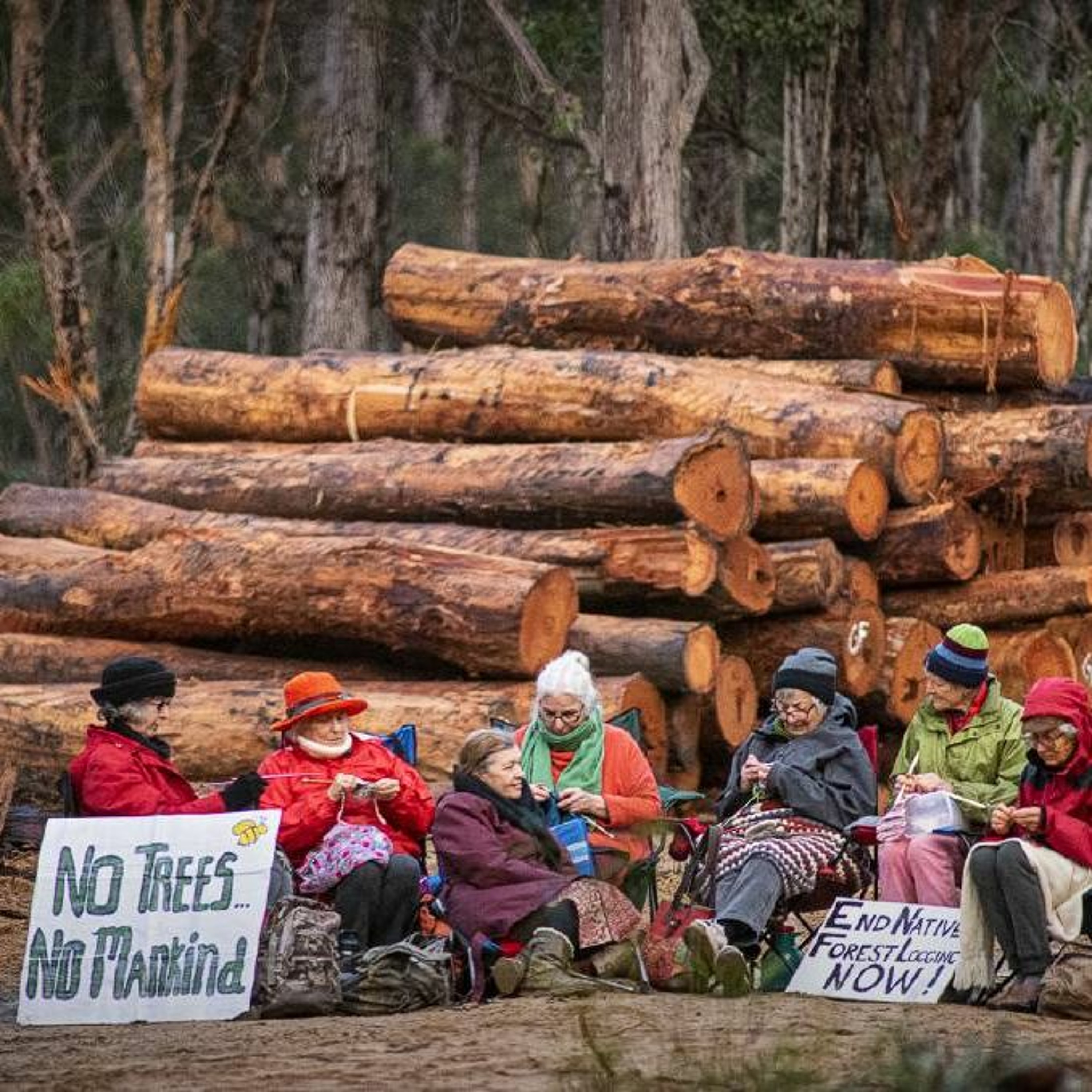 Nannas For Native Forests: Jess Beckerling