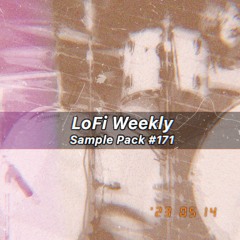 Lofi Spit Drums - 7