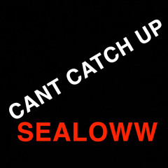 Cant catch up