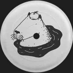 Premiere: A2 - Unknown Artist - Untitled 1 (Invisible Mix) [SEGUIM002]