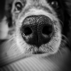 Whatchu Up To?