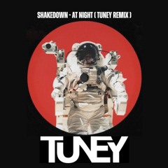 Shakedown - At Night (Tuney Remix)