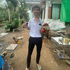 C1 GA NOI MIEN TAY - Hoang Phuc music